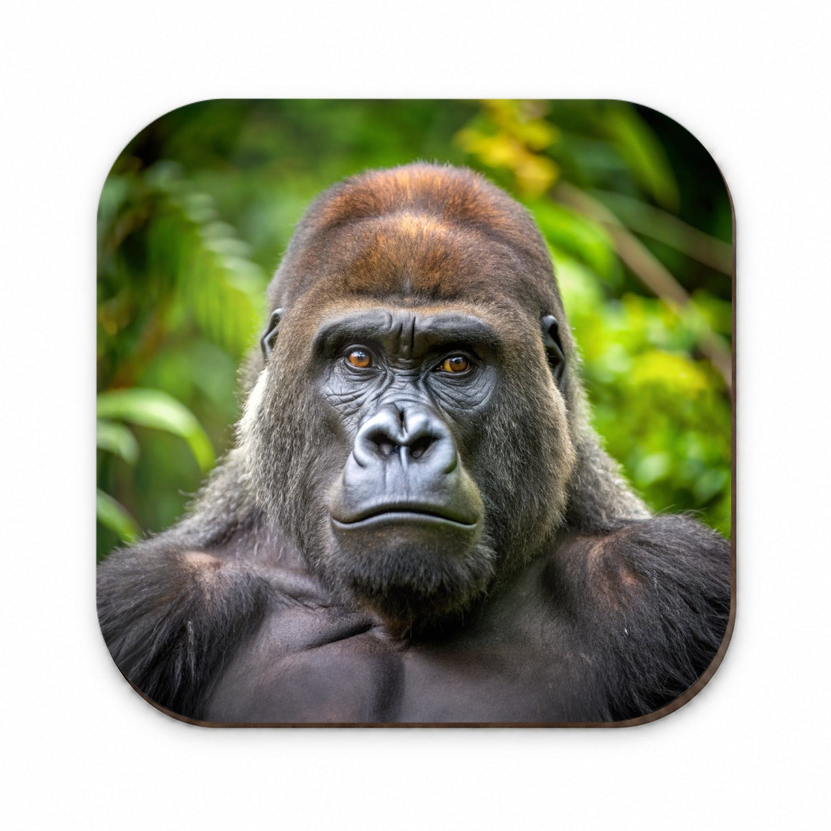 Western Gorilla Ape Fridge Magnet