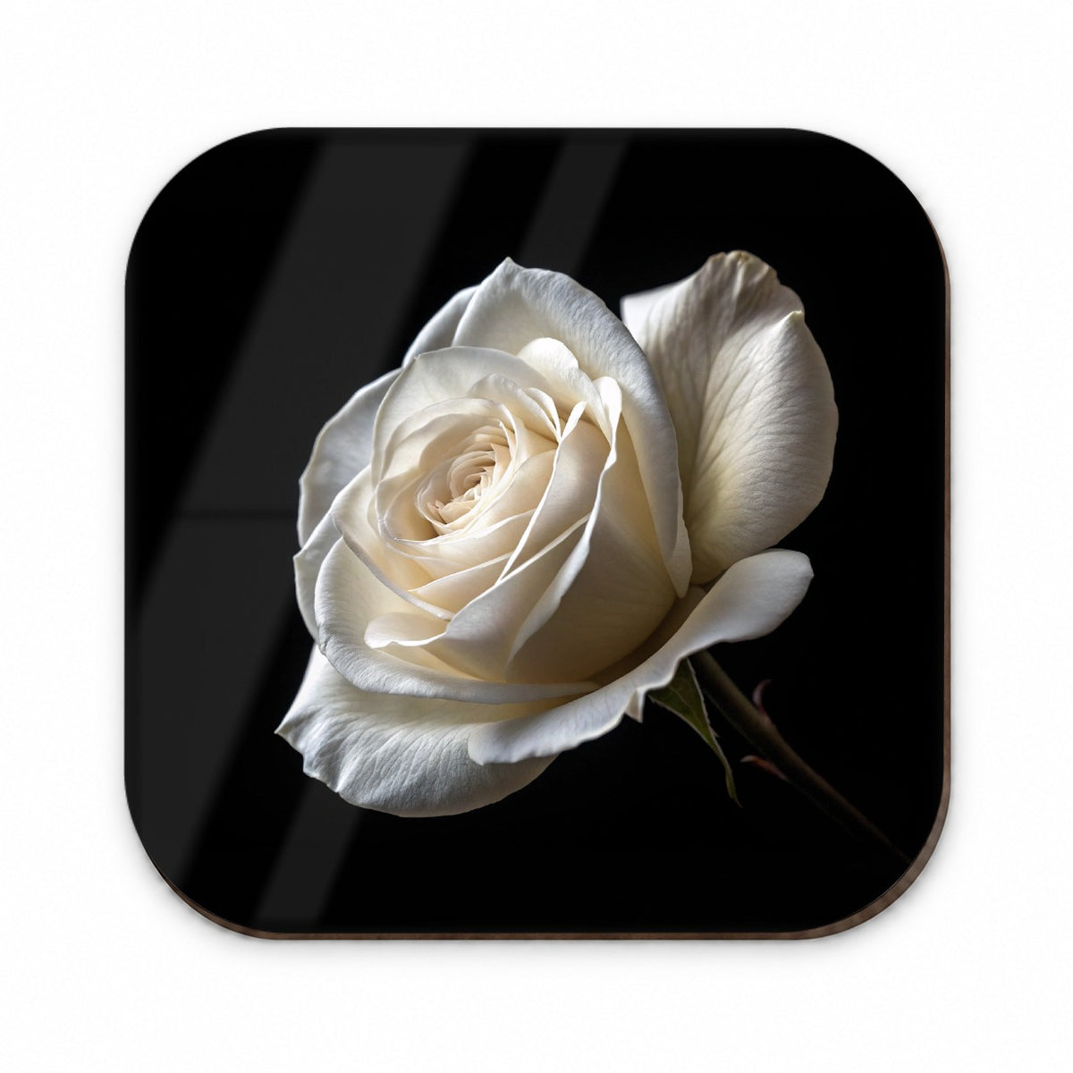 White Rose Fridge Magnet