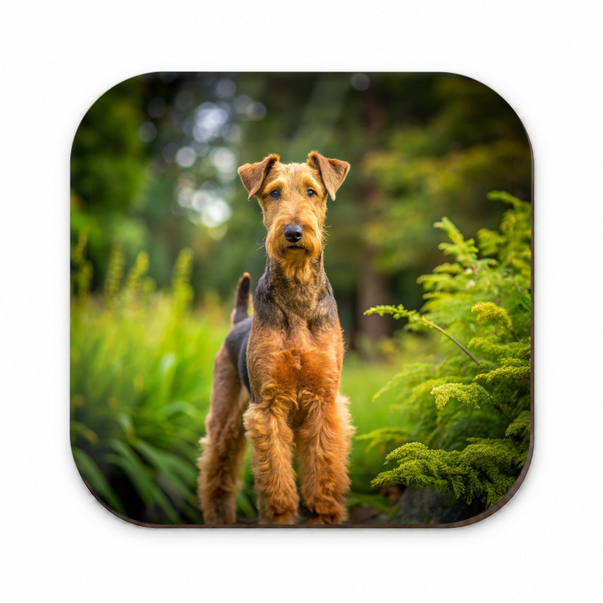 Airedale Terrier Dog Photo Fridge Magnet