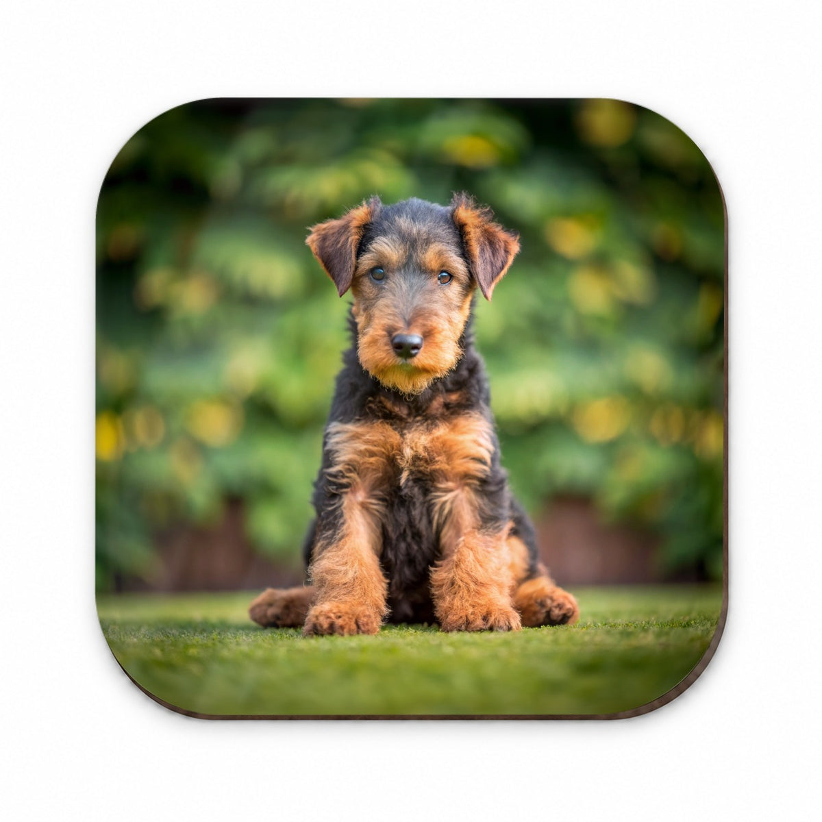 Airedale Terrier Dog Puppy Photo Fridge Magnet
