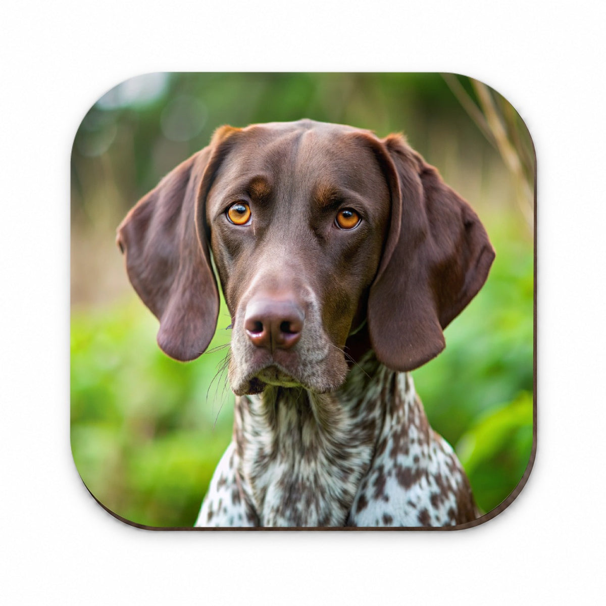 German Shorthaired Pointer Dog Photo Fridge Magnet