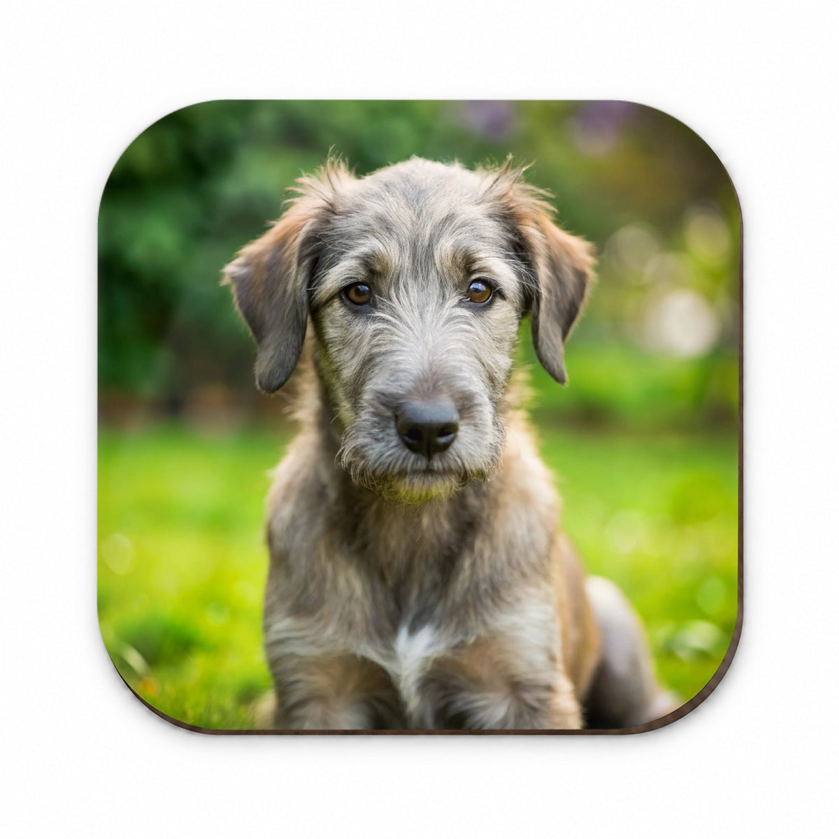 Irish Wolfhound Dog Puppy Photo Fridge Magnet