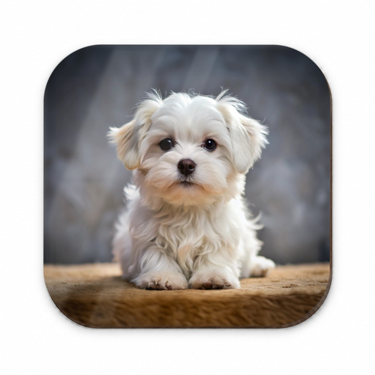 Maltese Dog Puppy Photo Fridge Magnet