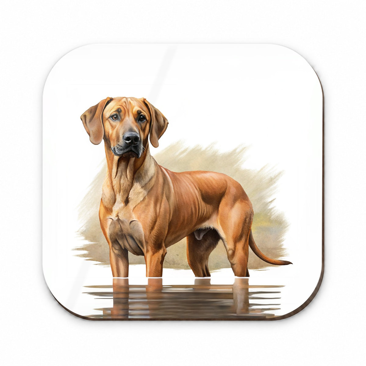 Rhodesian Ridgeback Dog Illustration Fridge Magnet