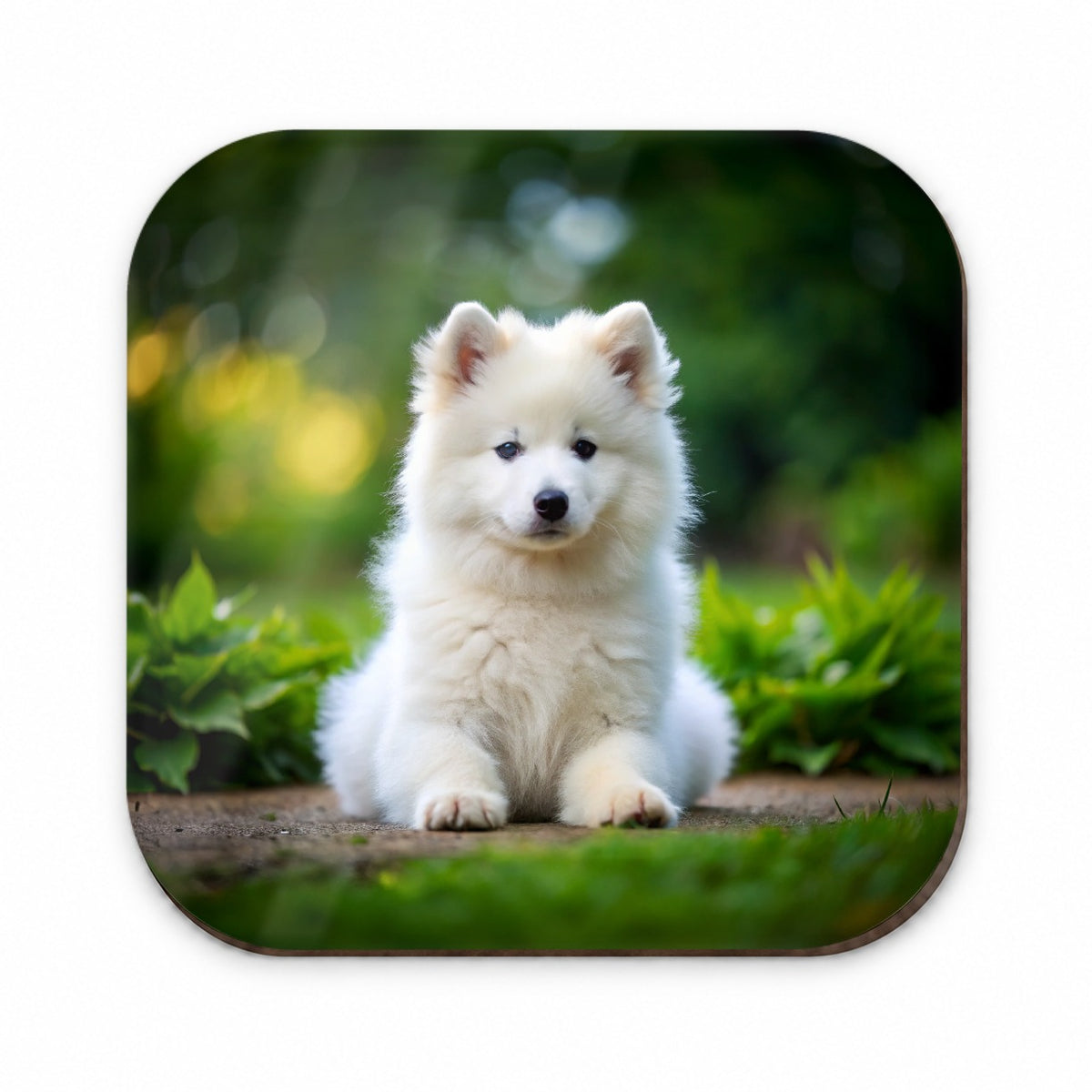 Samoyed Dog Puppy Photo Fridge Magnet