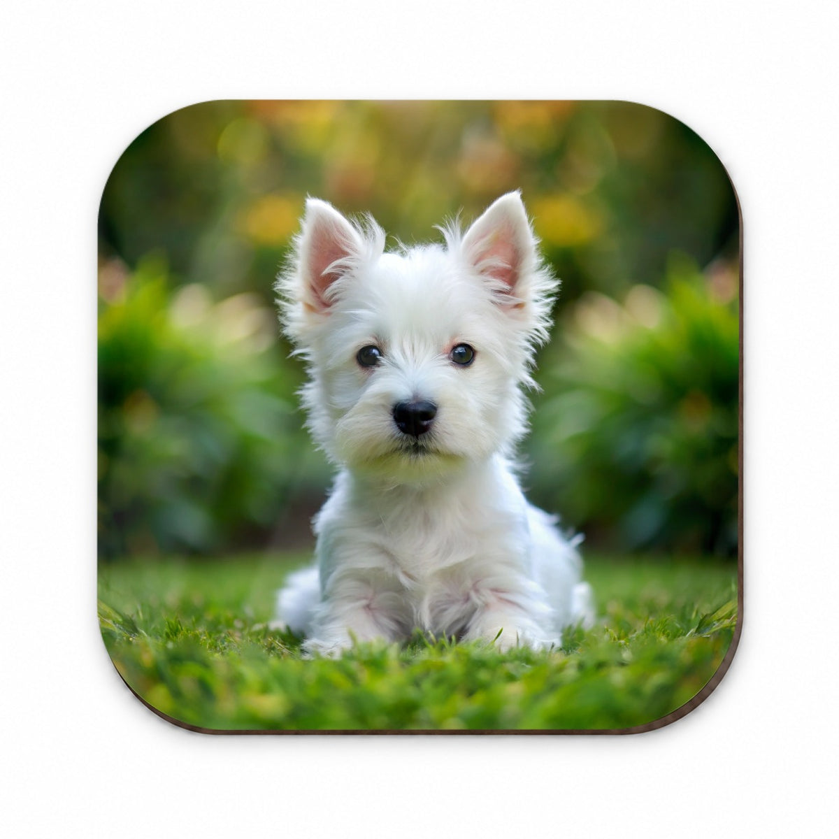 West Highland White Terrier Westie Dog Puppy Photo Fridge Magnet
