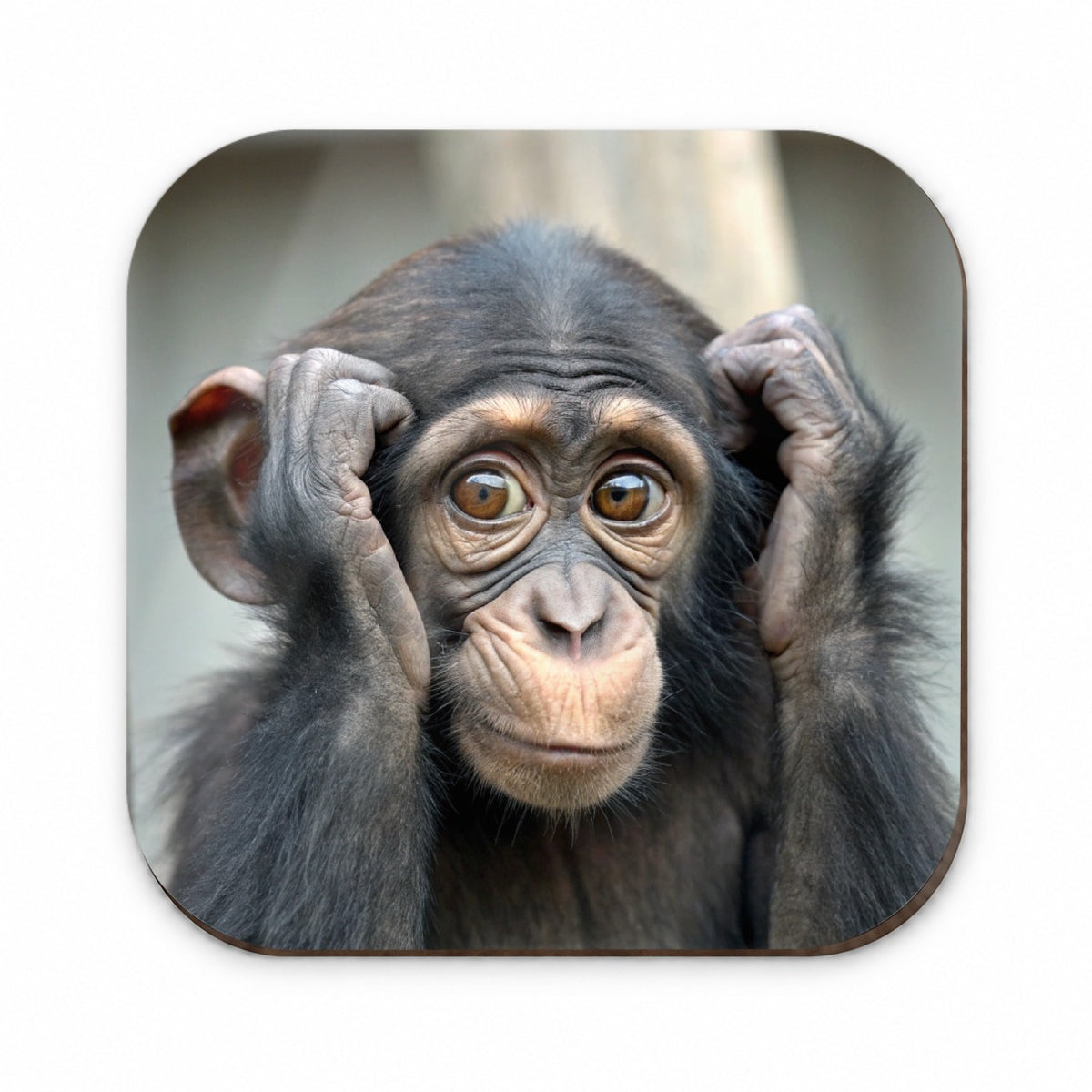 Monkey Adorable Fridge Magnet