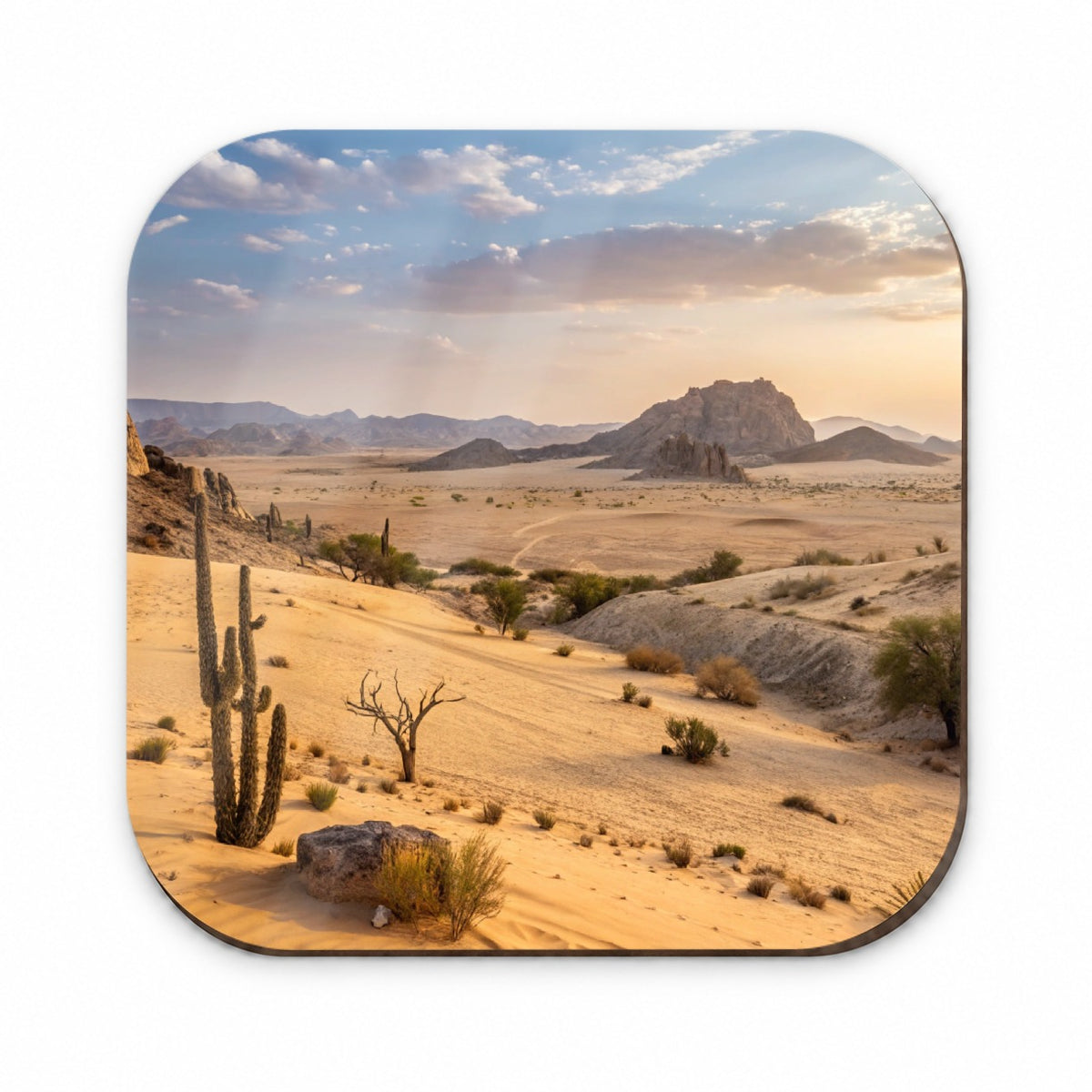 Beautiful Desert Fridge Magnet