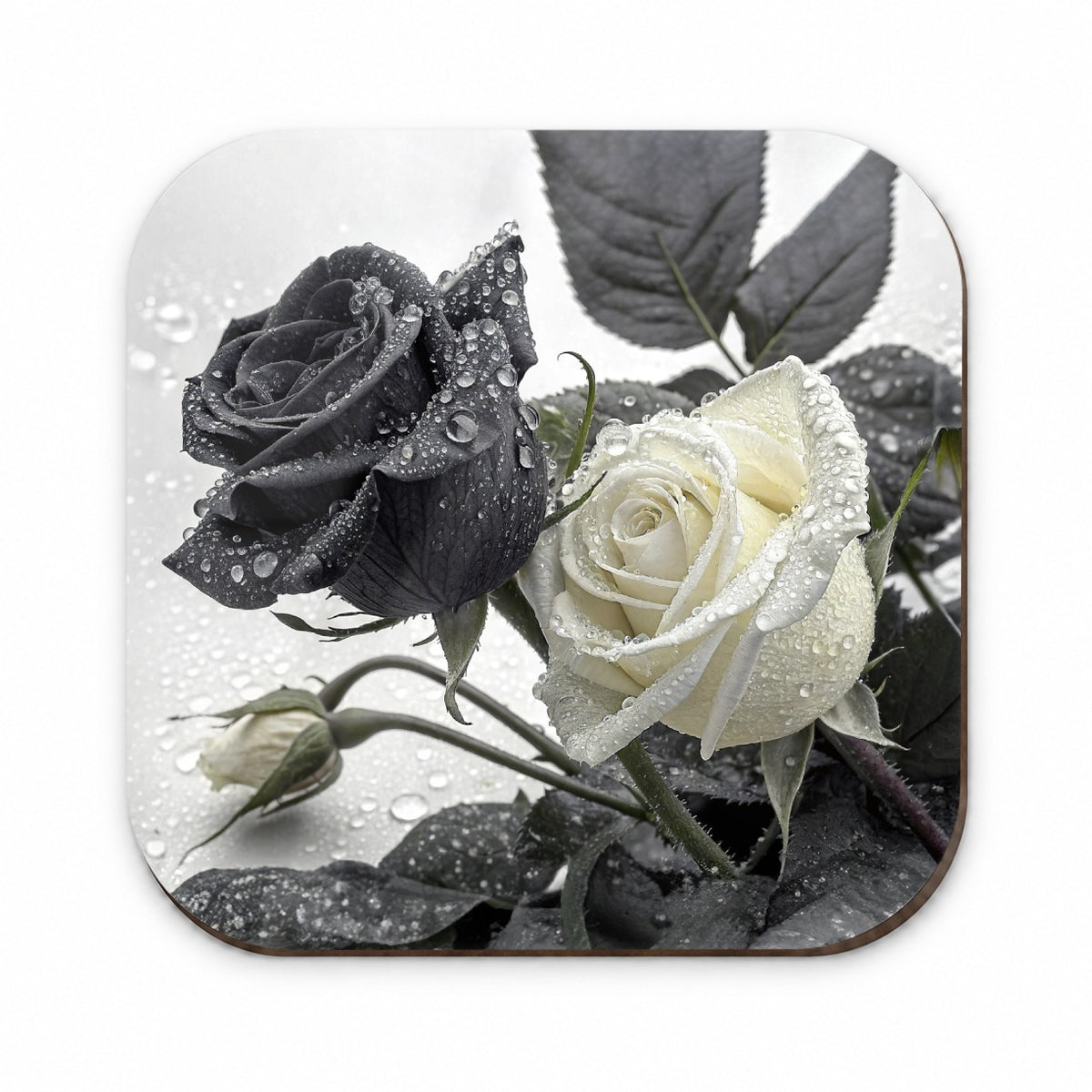 Black White Roses Dewy Fridge Magnet