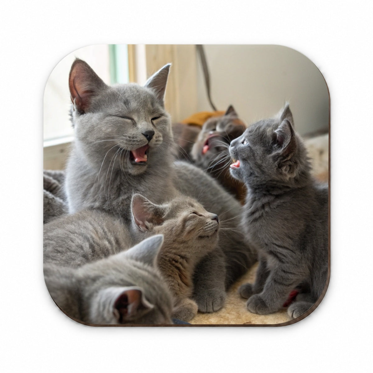 Bunch Of Gray Cats Fridge Magnet