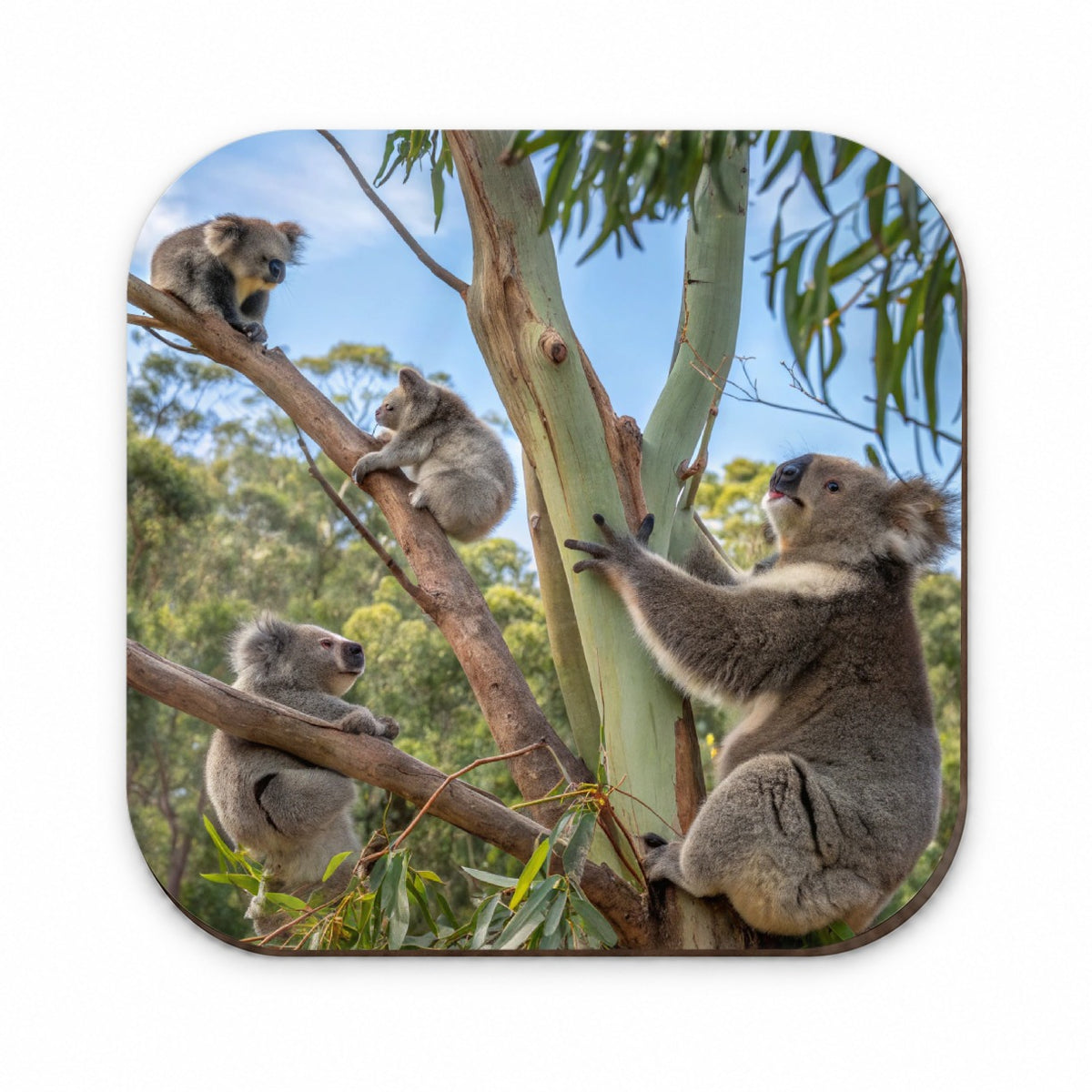 Bunch Of Koalas Fridge Magnet