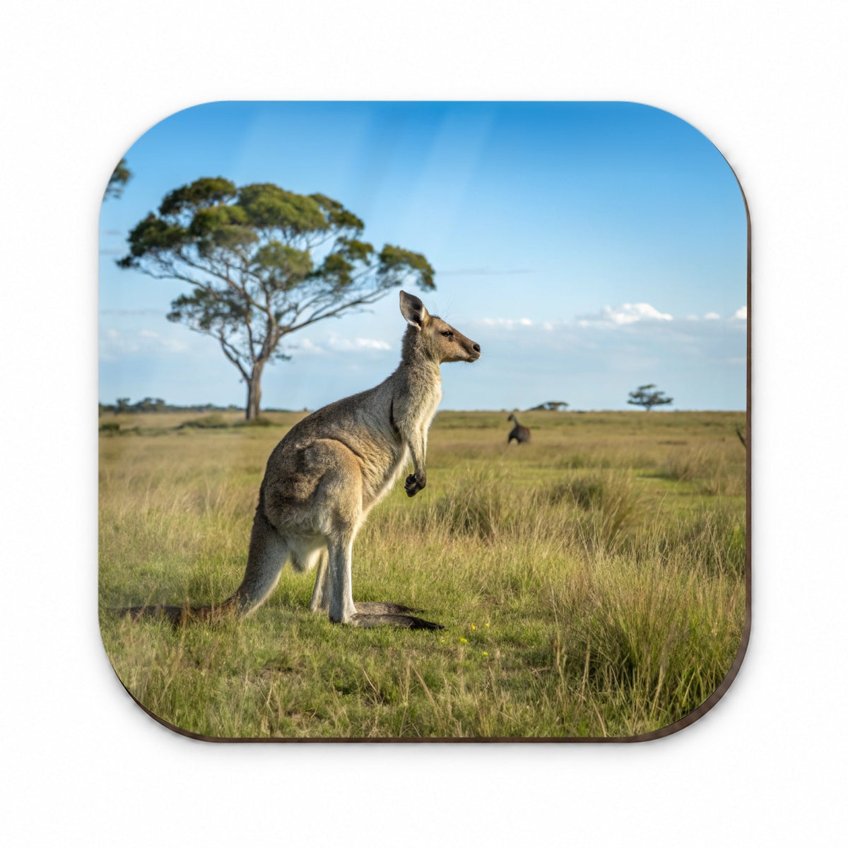 Kangaroo Australia Plain Fridge Magnet