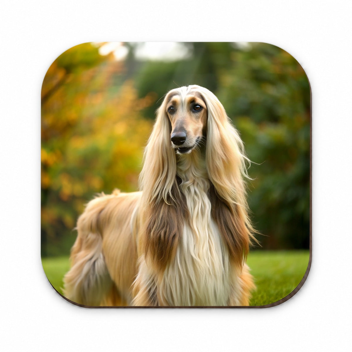 Afghan Hound Dog Photo Fridge Magnet