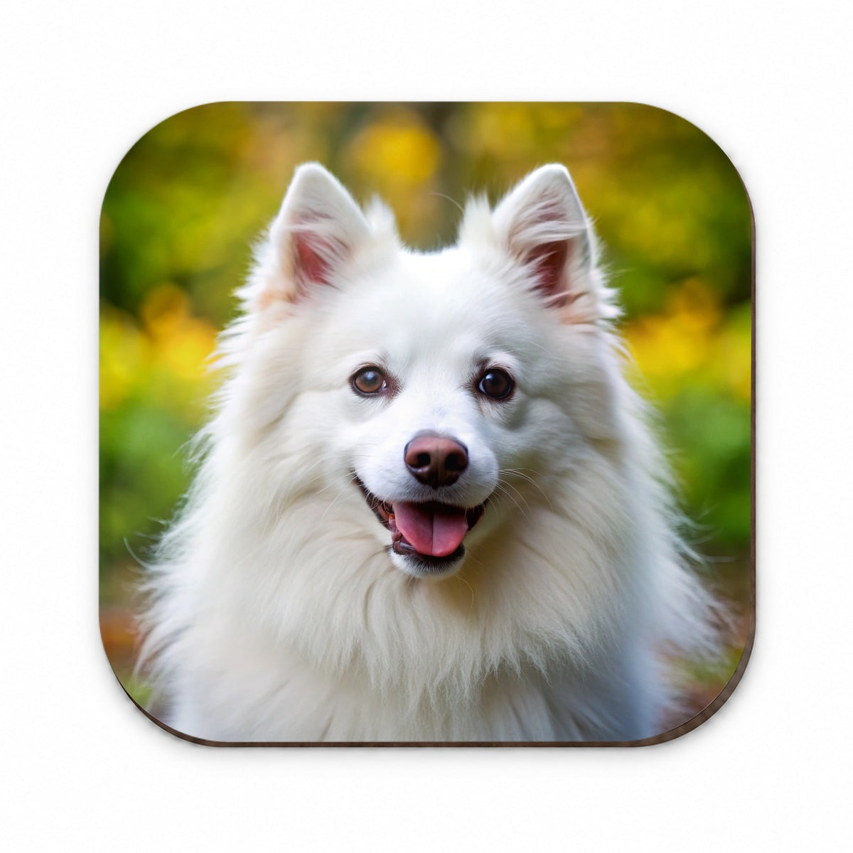 American Eskimo Dog Photo Fridge Magnet