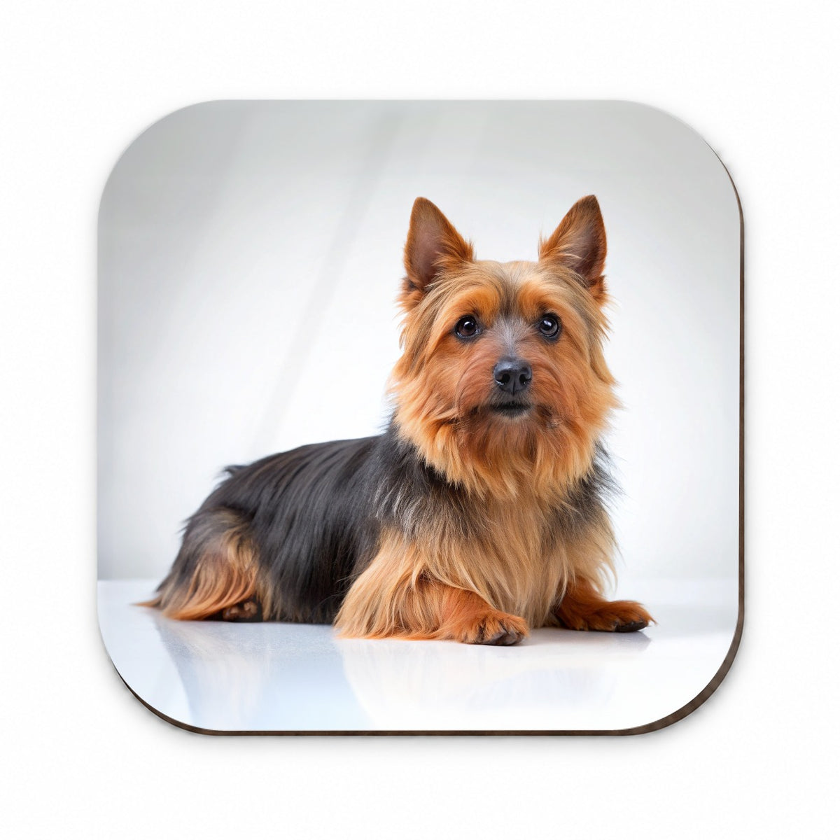 Australian Terrier Dog Photo Fridge Magnet