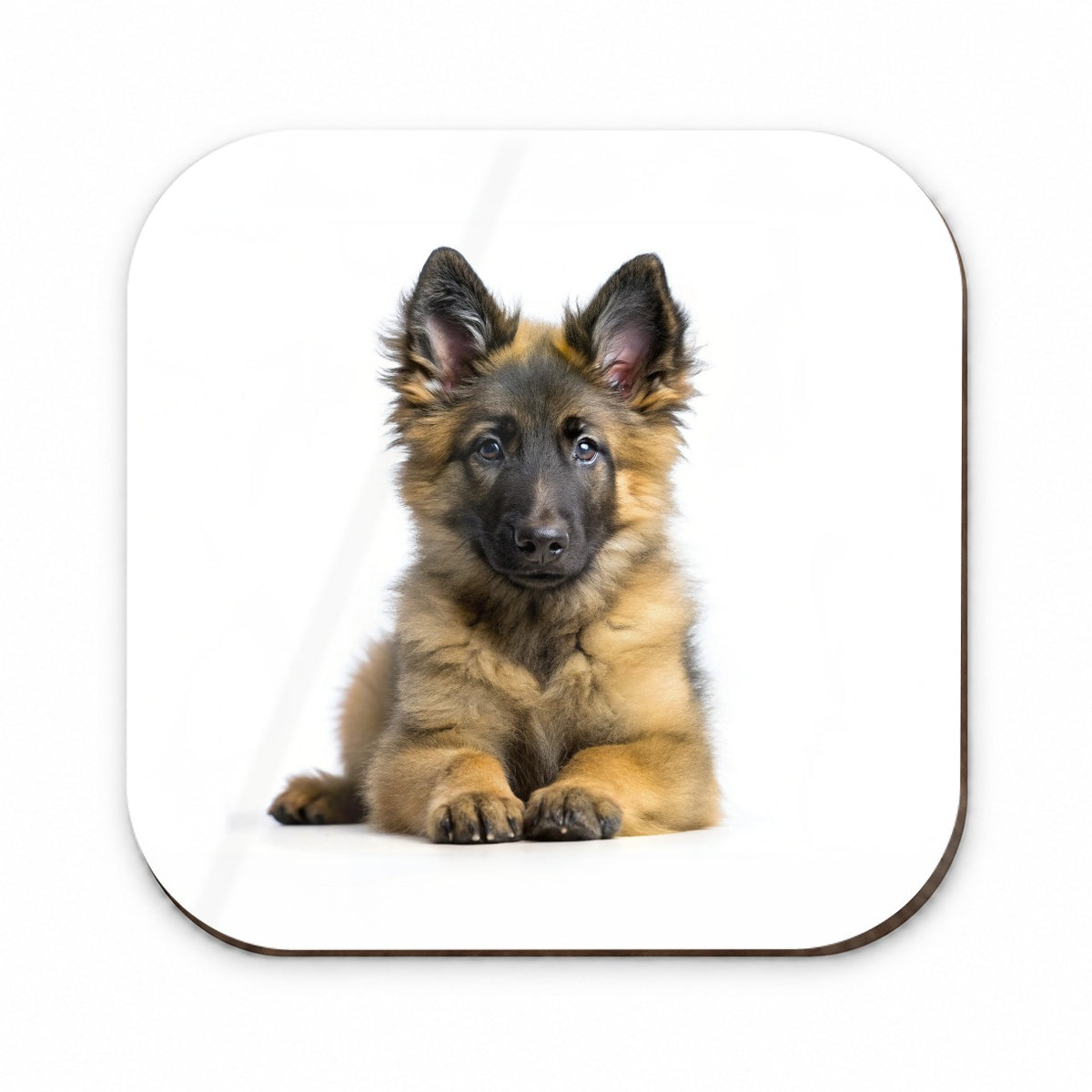 Belgian Tervuren Dog Puppy Photo Fridge Magnet