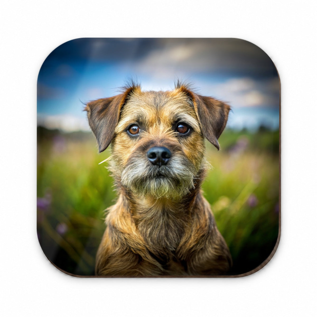 Border Terrier Dog Photo Fridge Magnet