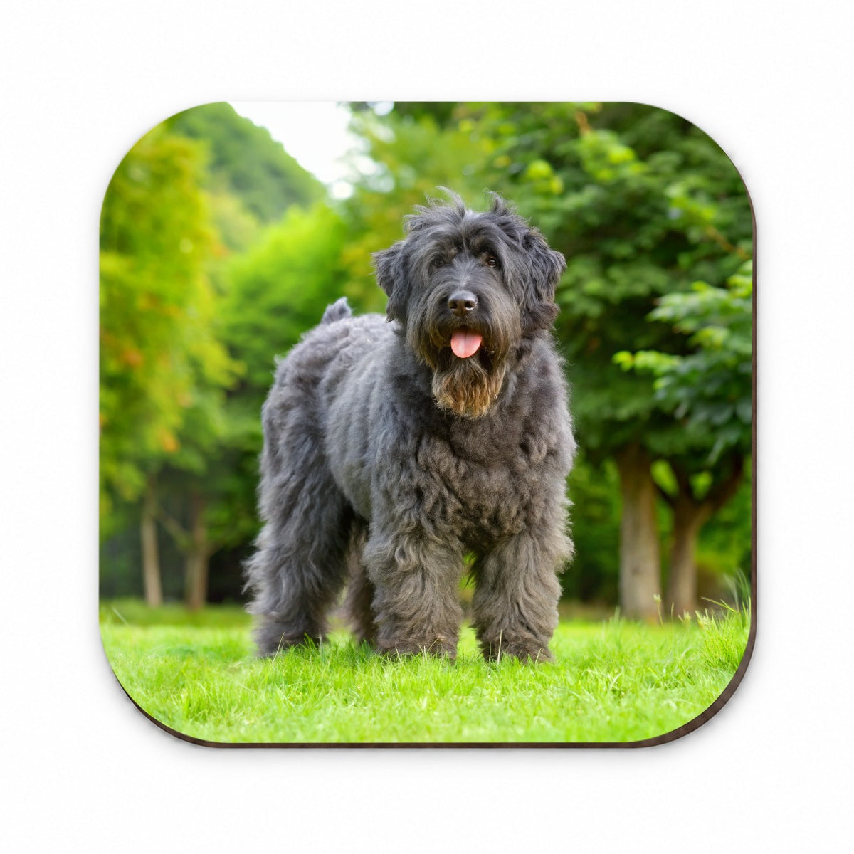 Bouviers Des Flandres Dog Photo Fridge Magnet