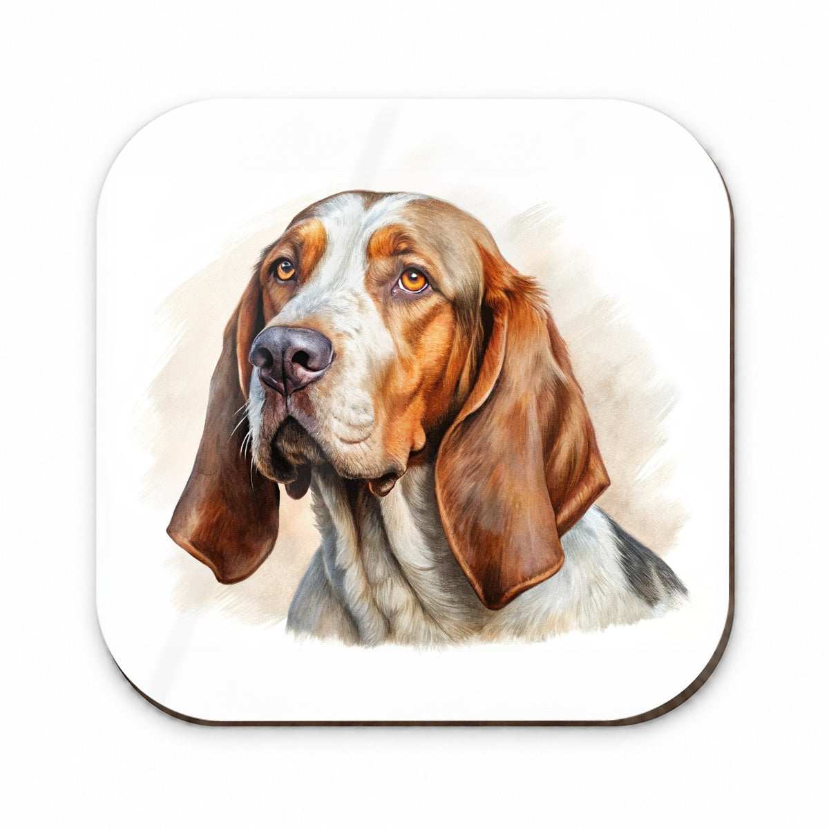 Bracco Italiano Dog Illustration Fridge Magnet