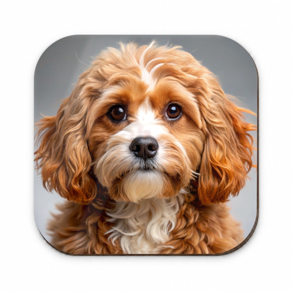 Cavapoo Dog Photo Fridge Magnet