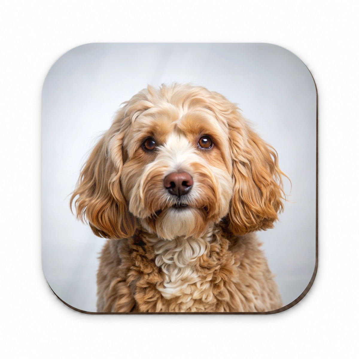 Cockapoo Dog Photo Fridge Magnet