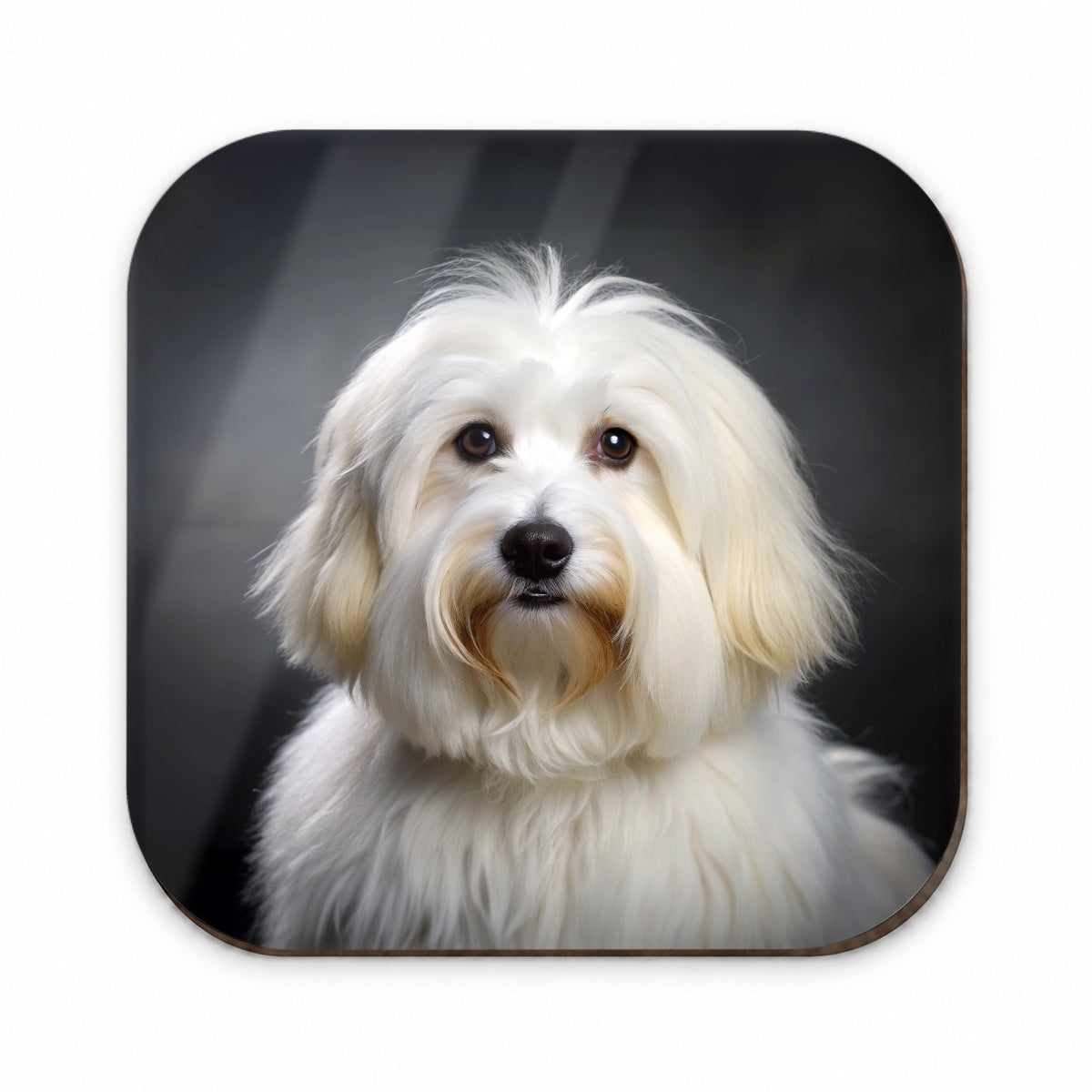 Coton De Tulear Dog Photo Fridge Magnet