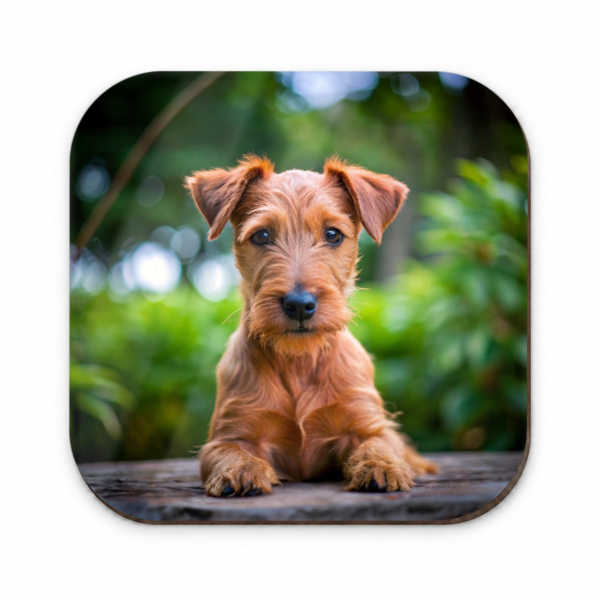 Irish Terrier Dog Puppy Photo Fridge Magnet