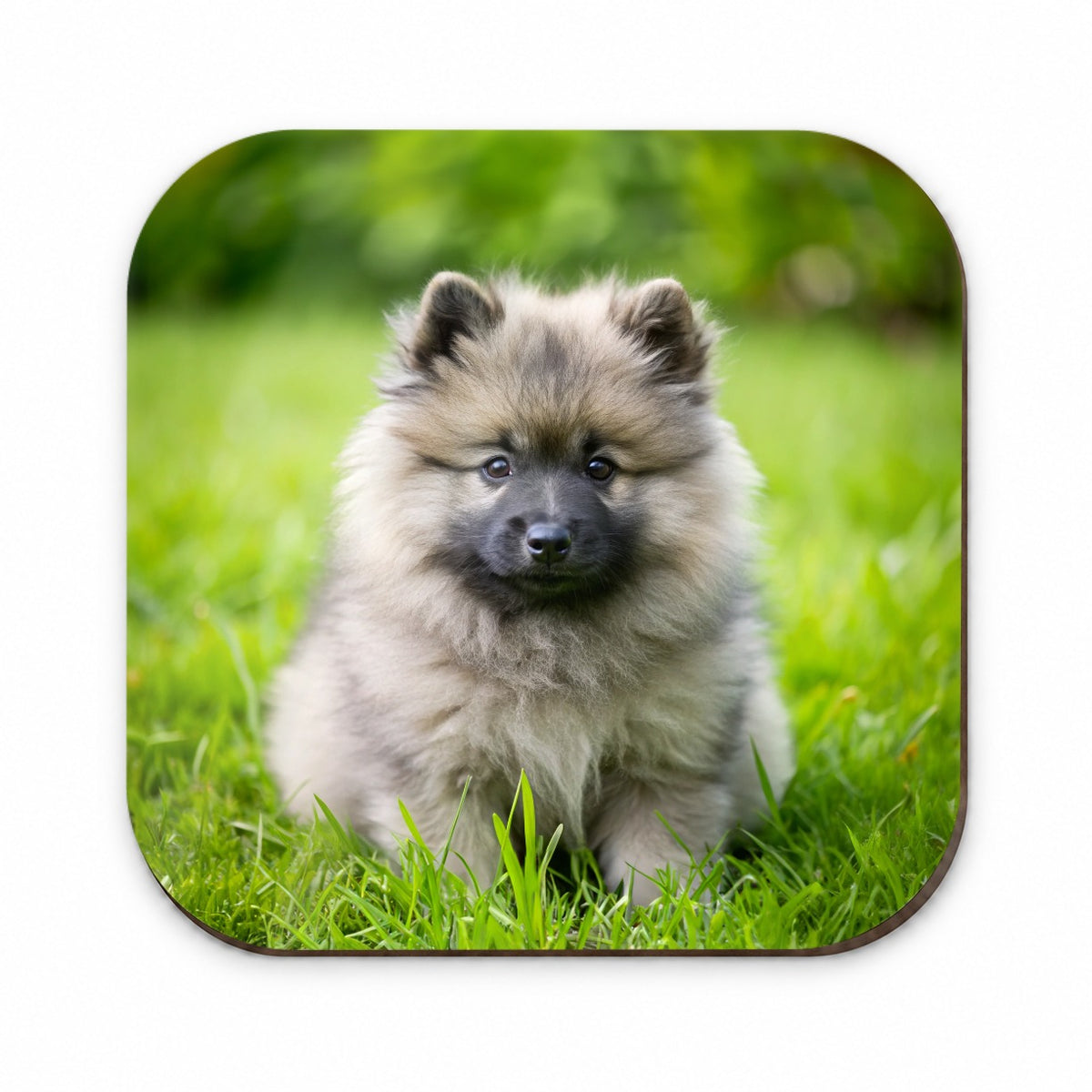 Keeshond Dog Puppy Photo Fridge Magnet