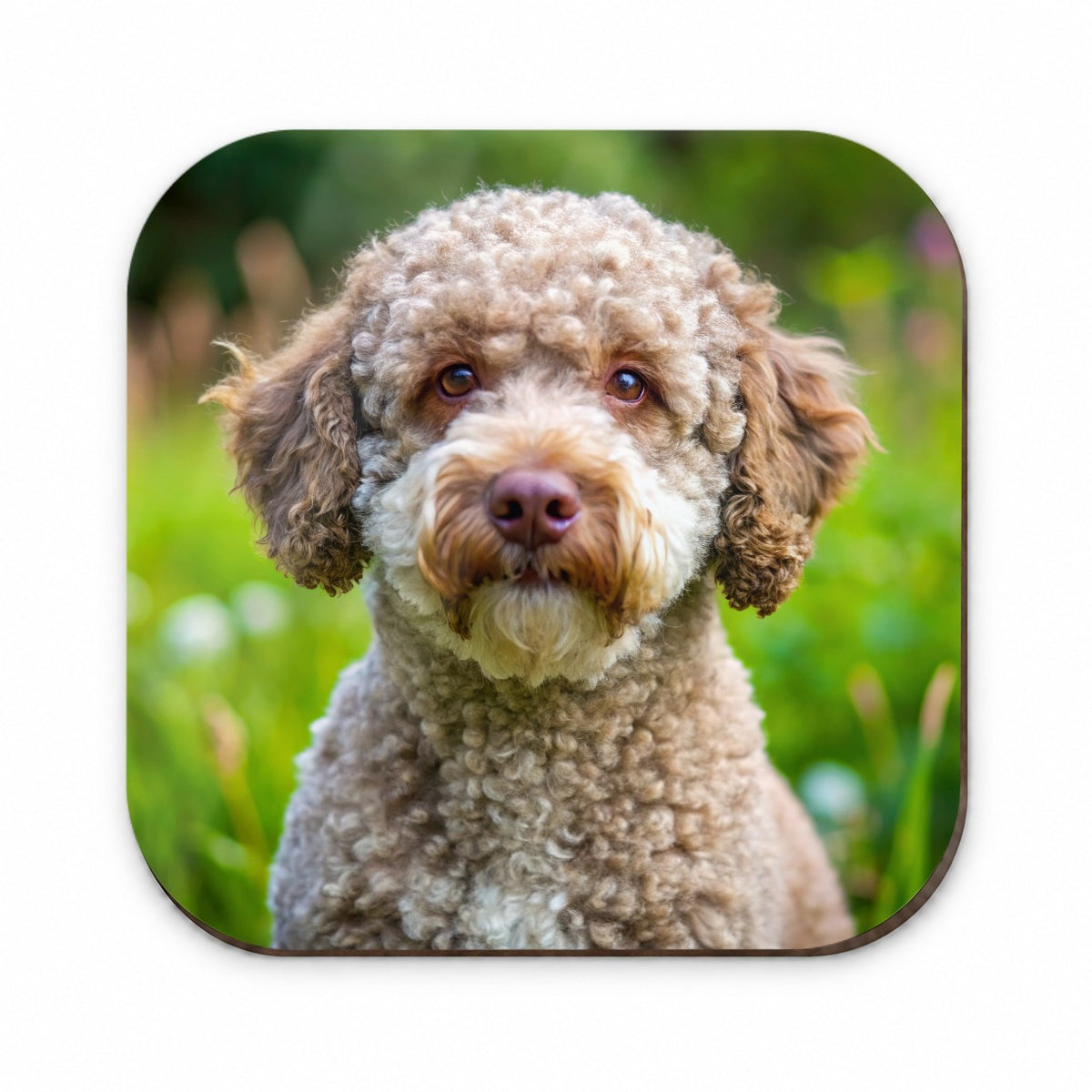 Lagotto Romagnolo Dog Photo Fridge Magnet