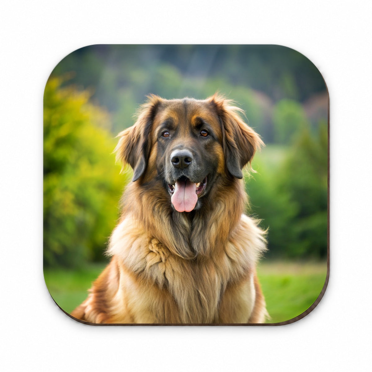Leonberger Dog Photo Fridge Magnet