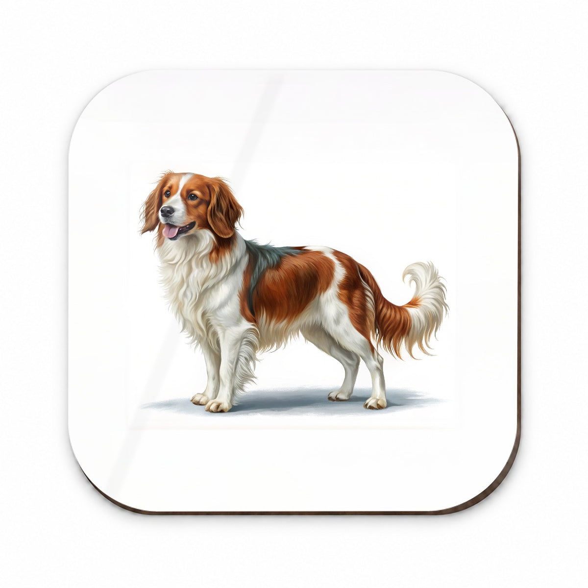 Nederlandse Kooikerhondje Dog Illustration Fridge Magnet