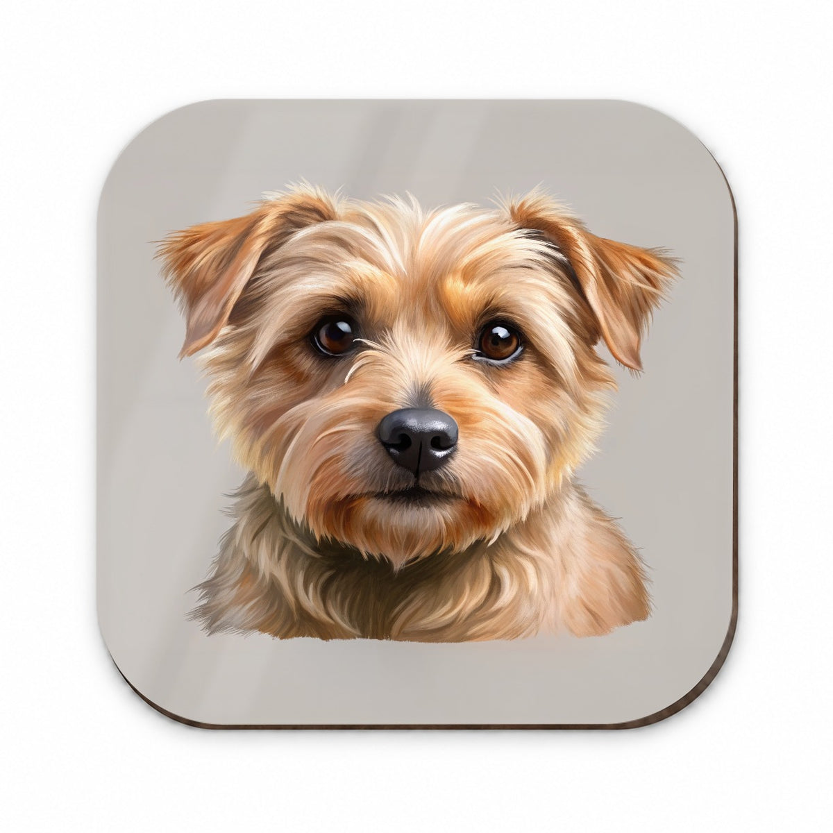 Norfolk Terrier Dog Illustration Fridge Magnet