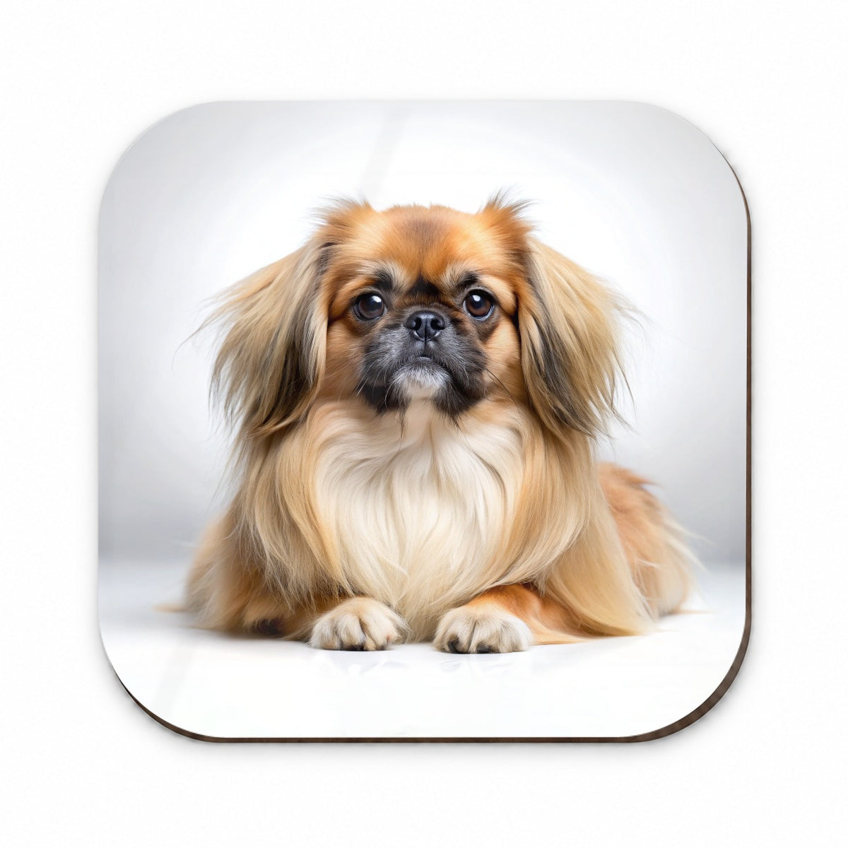 Pekingese Dog Photo Fridge Magnet