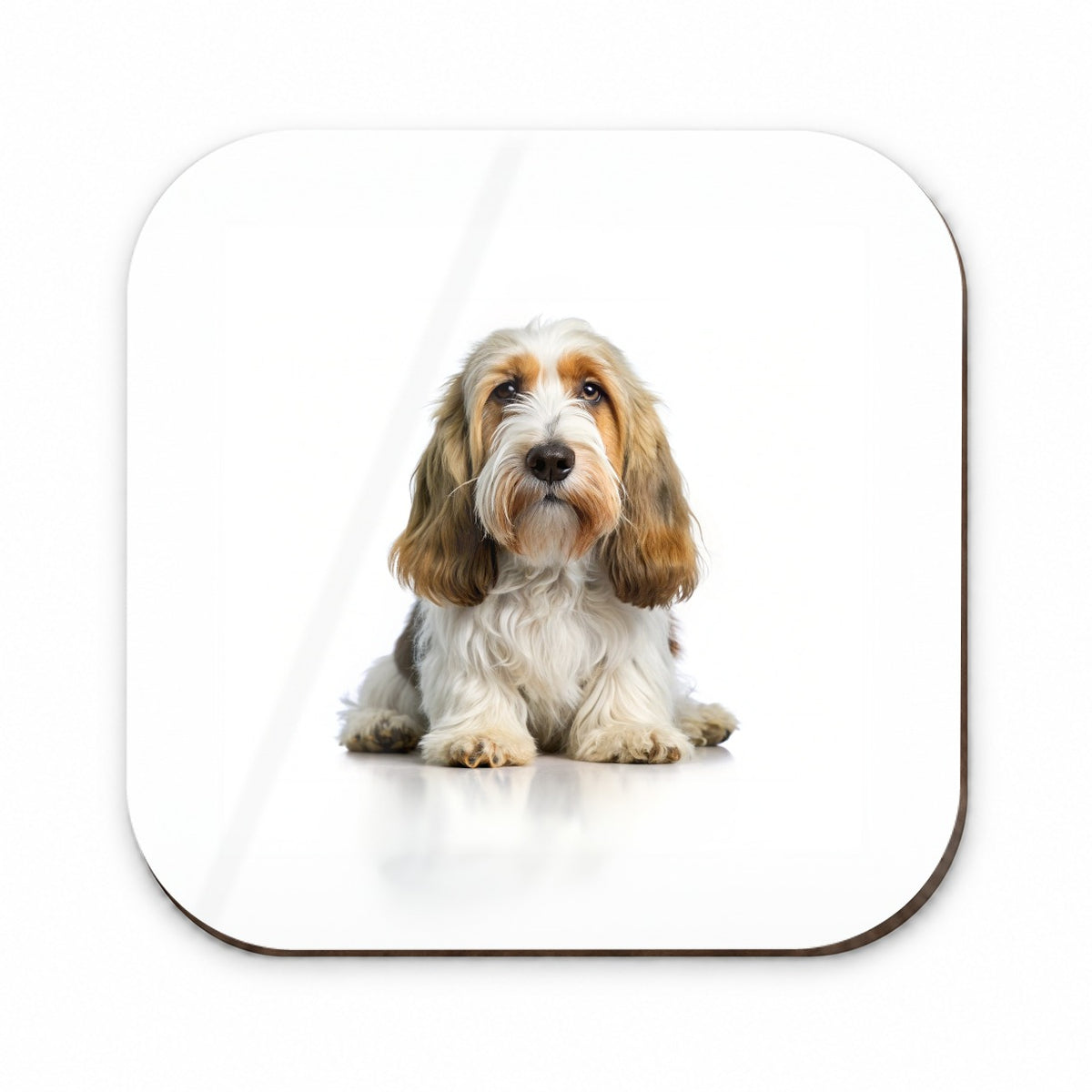 Petit Basset Griffon Vendeen Dog Photo Fridge Magnet