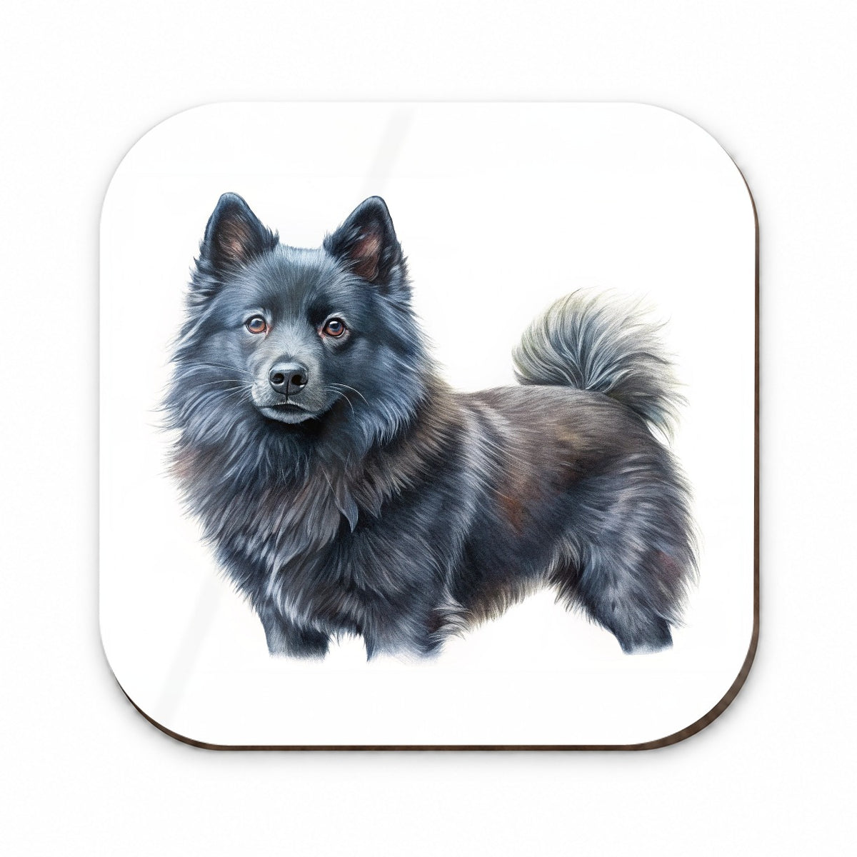 Schipperke Dog Illustration Fridge Magnet