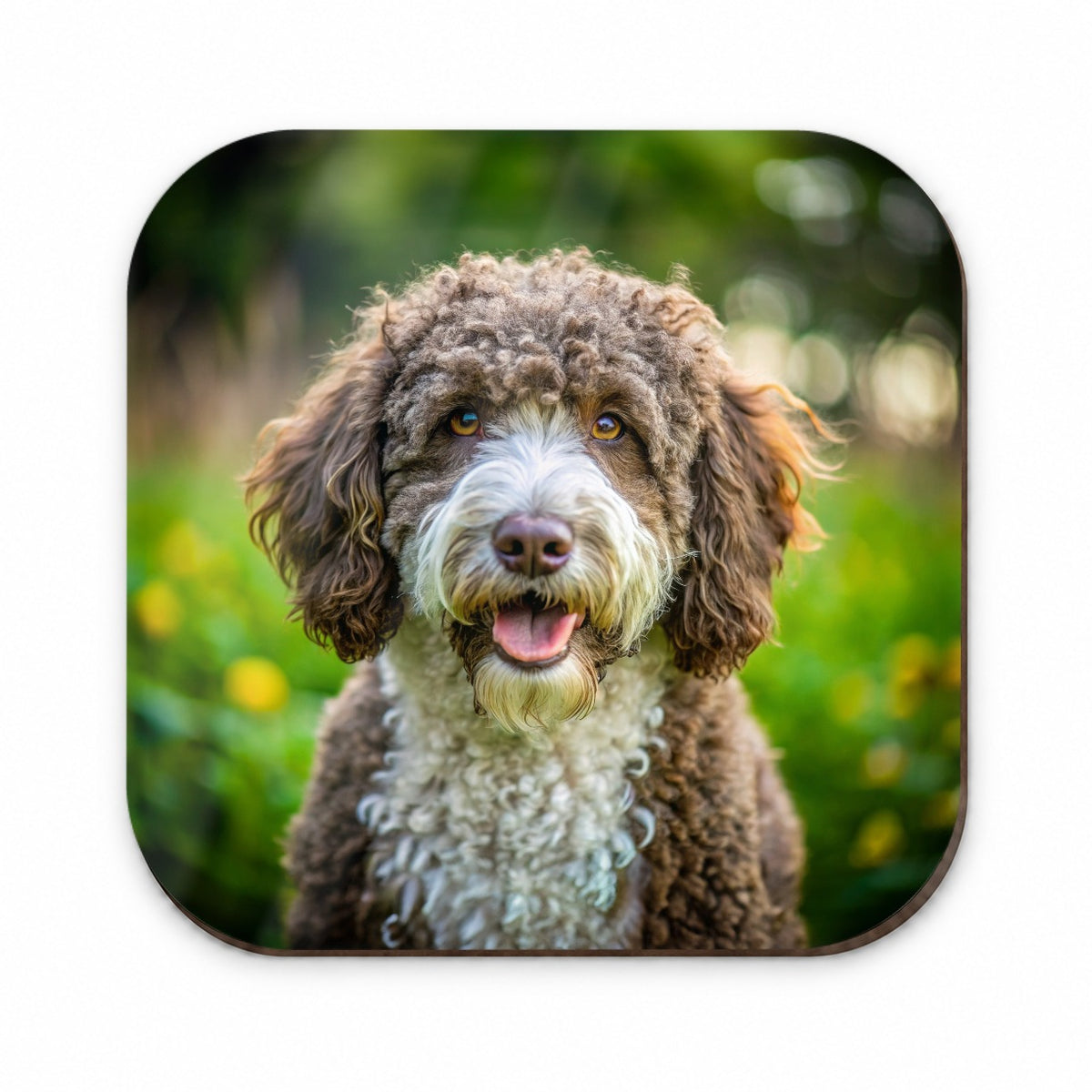 Spanish Water Dog Photo Fridge Magnet
