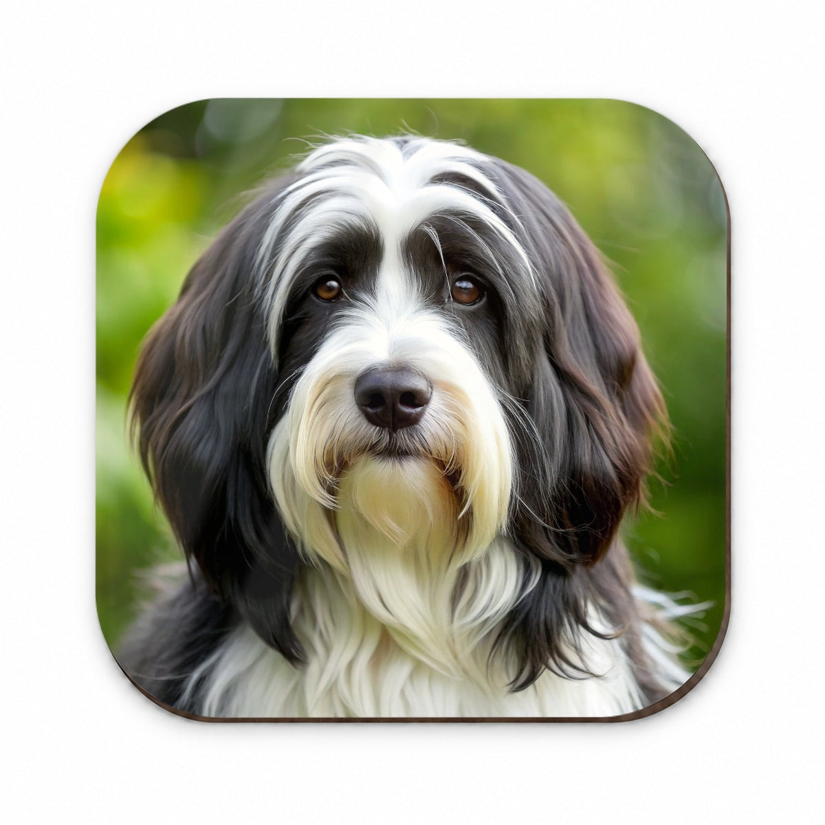 Tibetan Terrier Dog Photo Fridge Magnet