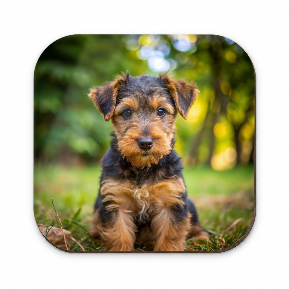 Welsh Terrier Dog Puppy Photo Fridge Magnet