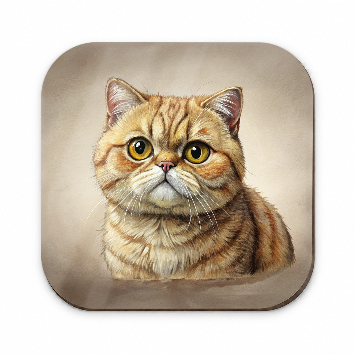 Exotic Shorthair Cat Illustration Fridge Magnet