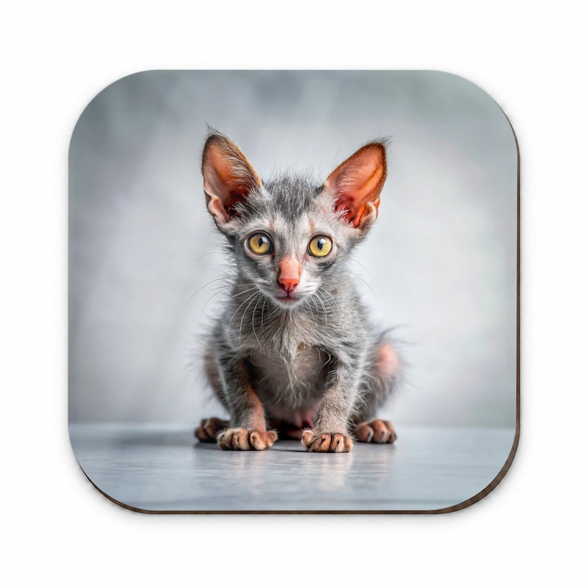 Lykoi Wolf Cat Kitten Photo Fridge Magnet