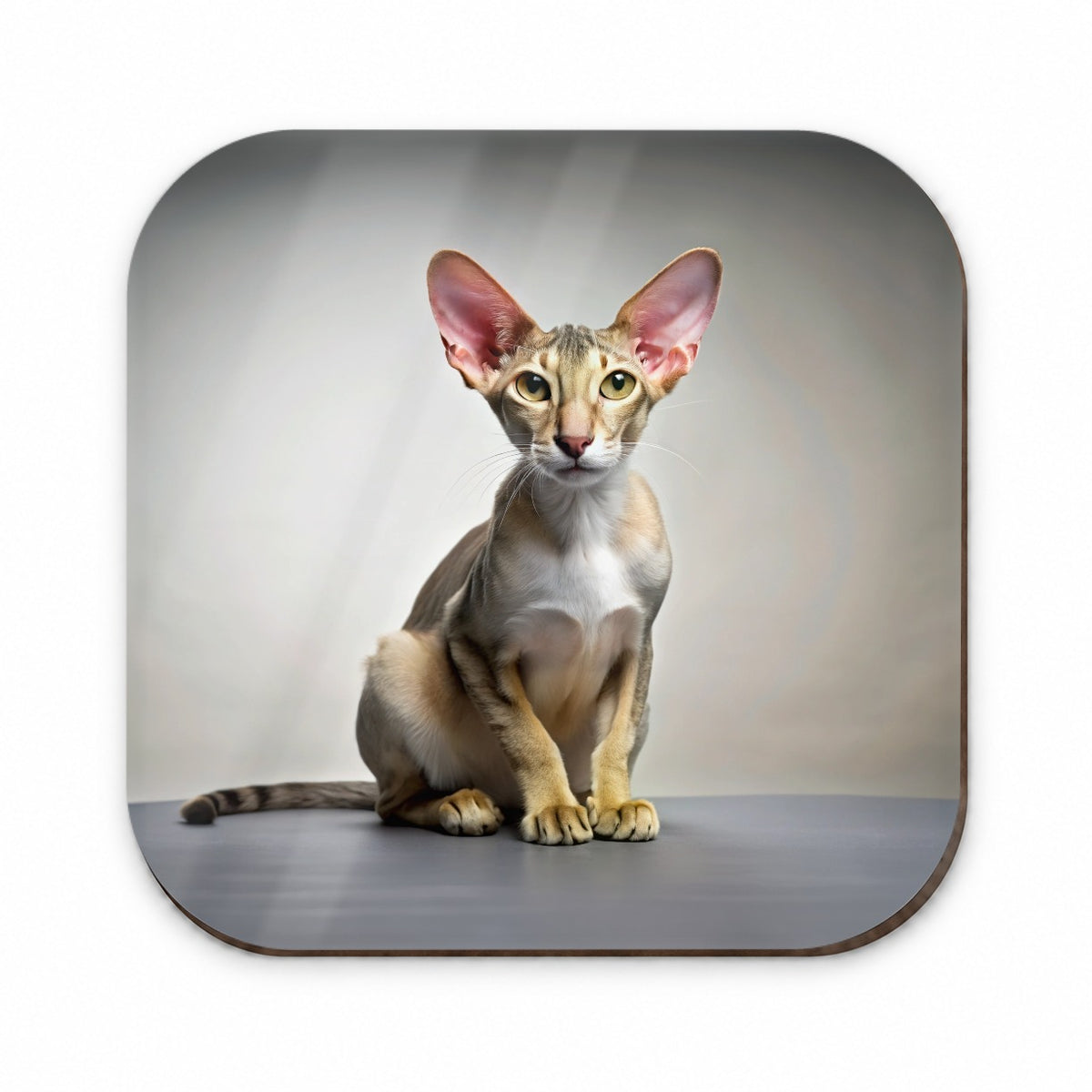 Oriental Shorthair Cat Photo Fridge Magnet