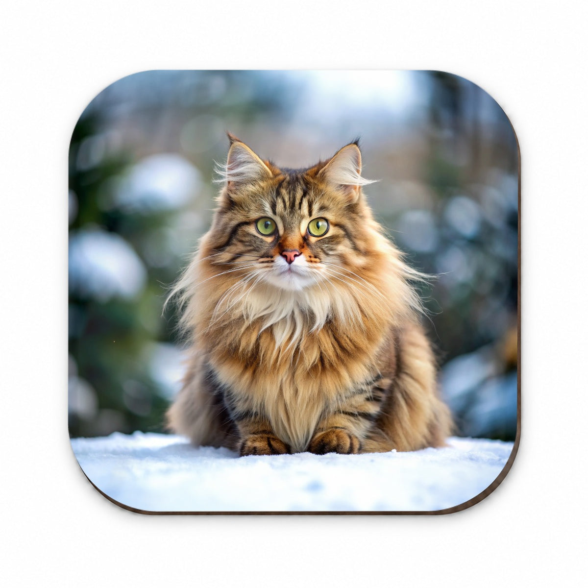Siberian Cat Photo Fridge Magnet