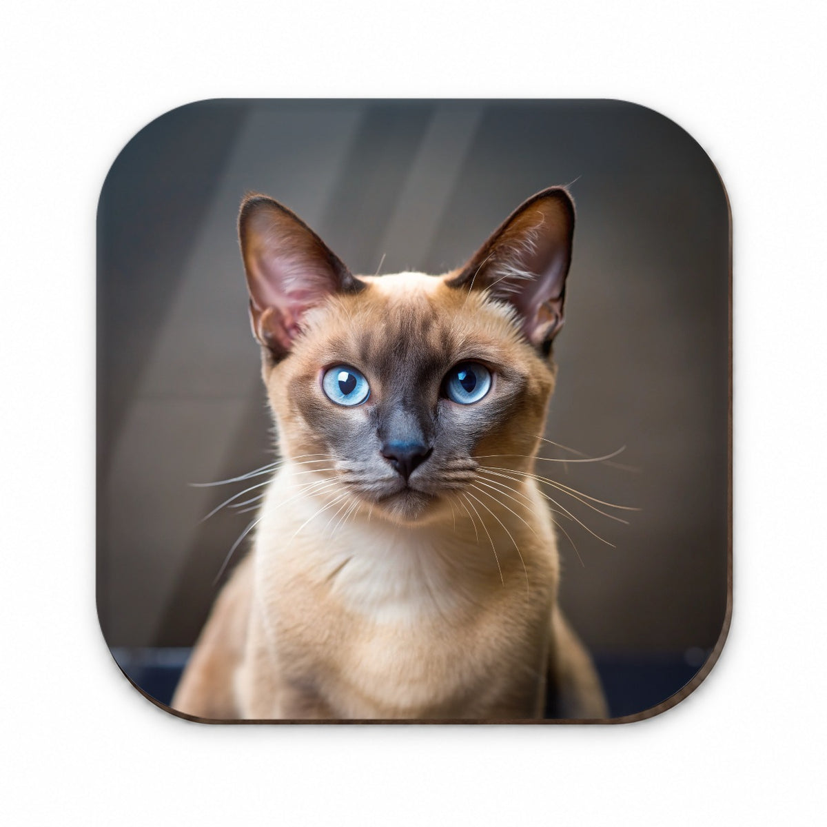 Tonkinese Cat Photo Fridge Magnet