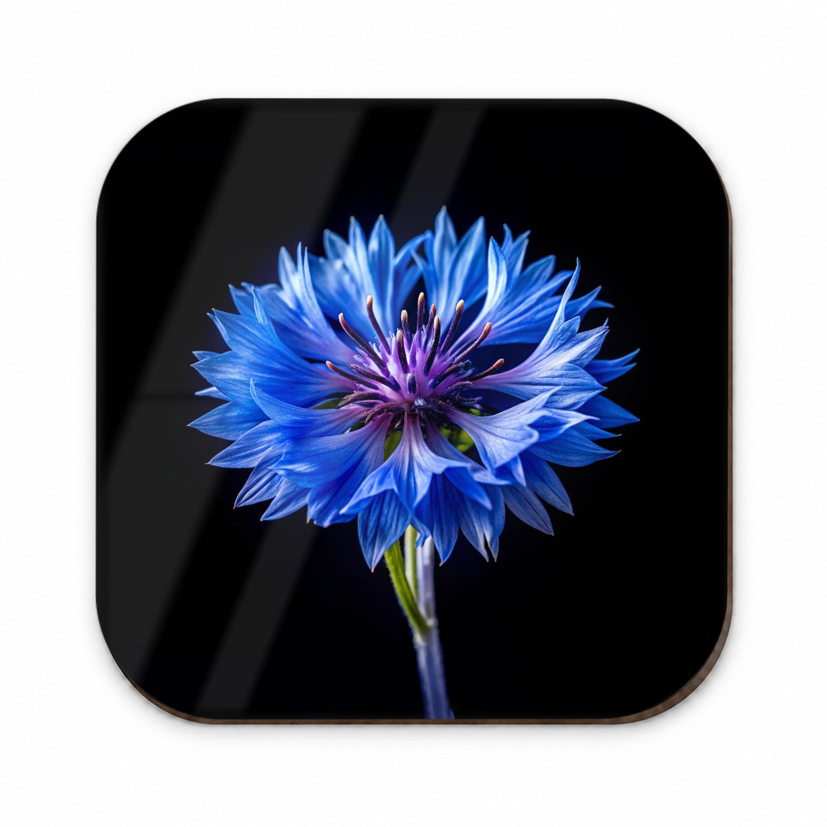 Blue Cornflower Photo Fridge Magnet
