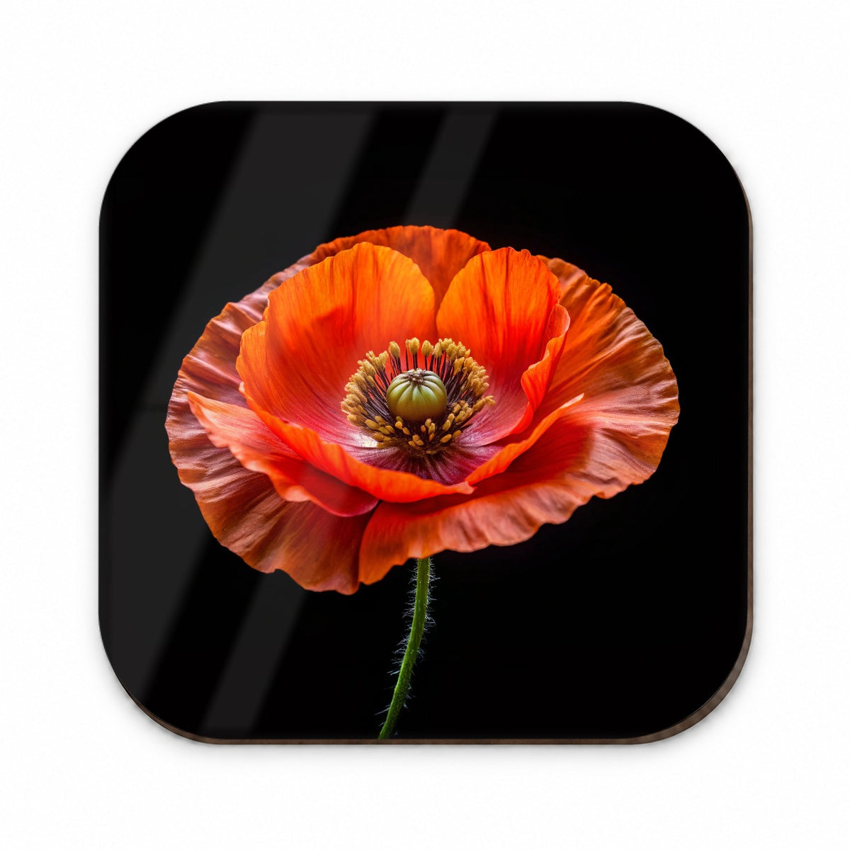 Orange Poppy Flower Photo Fridge Magnet