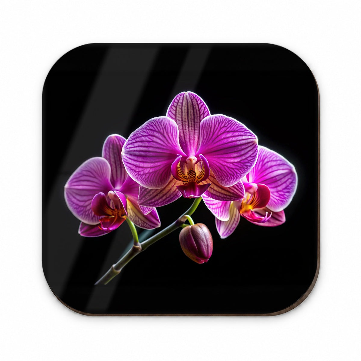 Orchid Flower Photo Fridge Magnet