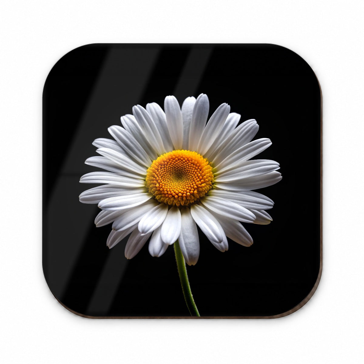 White Daisy Flower Photo Fridge Magnet