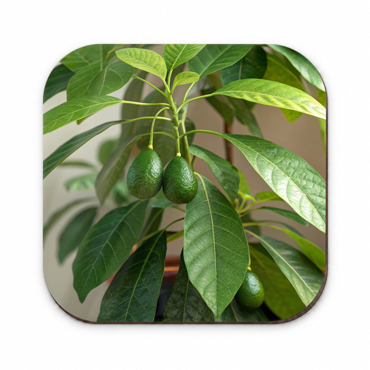 Avocados On Plant Fridge Magnet