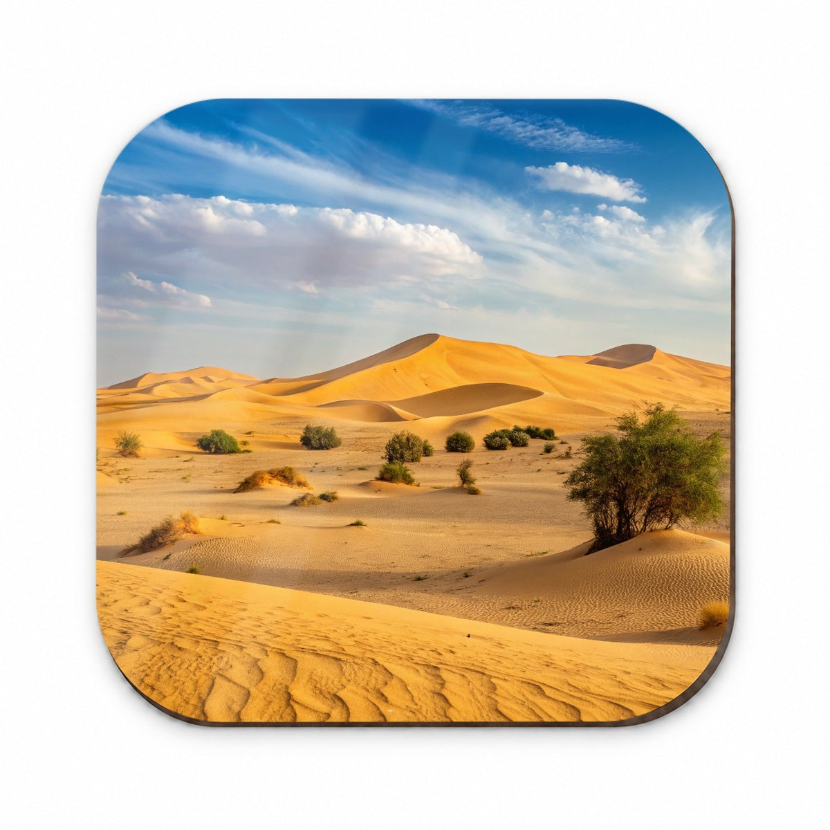 Desert Safari No People Fridge Magnet