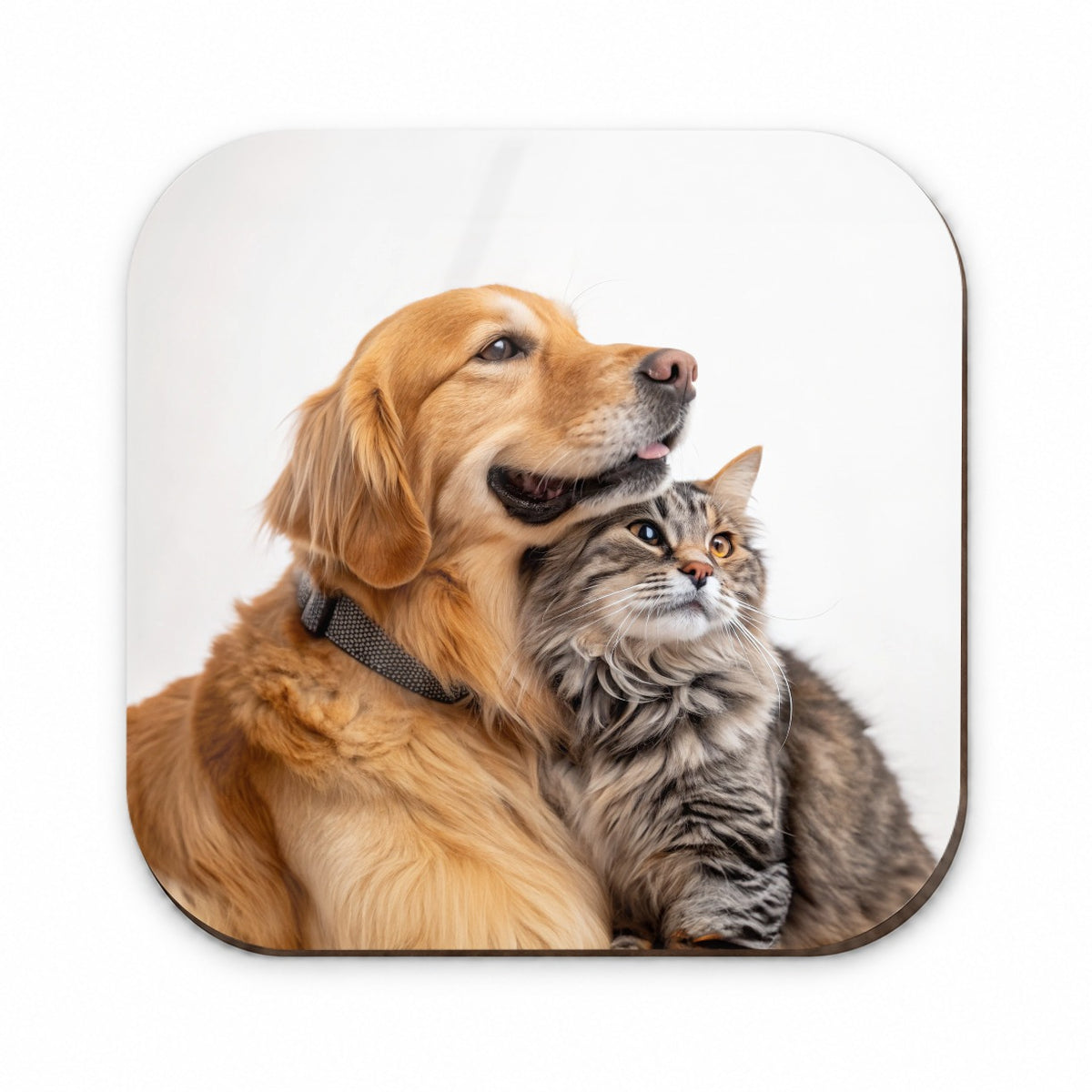 Dog Cat Hugging Love Fridge Magnet